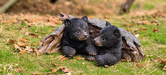 Bear Cubs