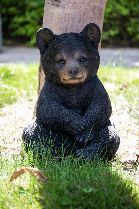 Sitting Bear