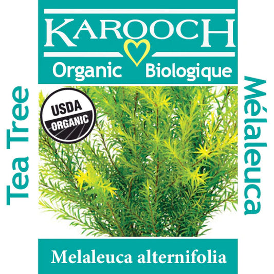 Tea Tree - Organic Oil