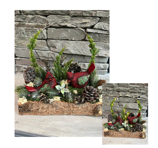 Cardinal Scene