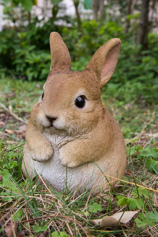 Chubby Bunny