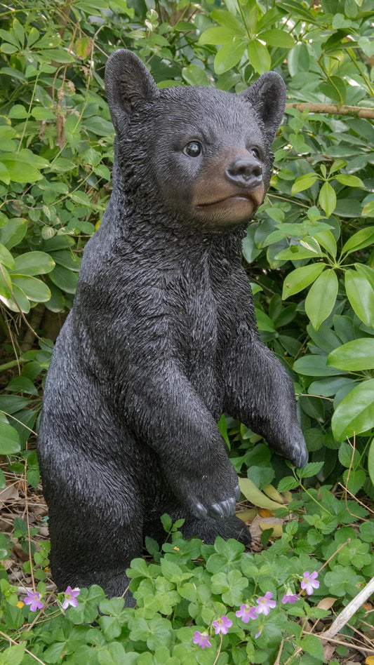 Standing Bear