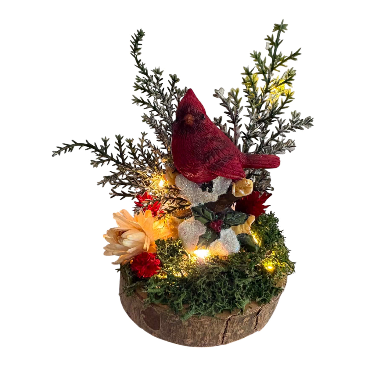 Cardinal Mini 
5" x 6"H x 4"D