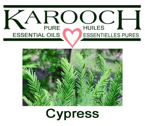 Cypress 10 ML